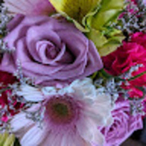 Meet your Posher, Roseanne